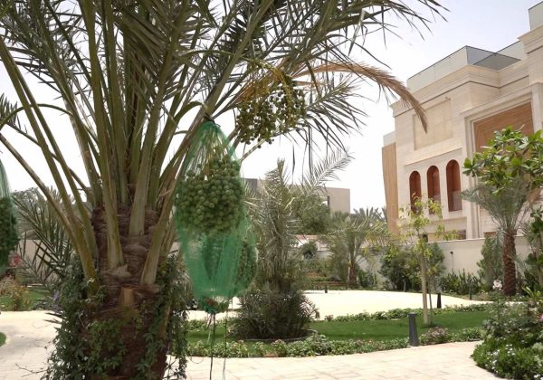مجمع فلل فاخر مع تنسيق حدائق